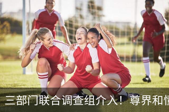 三部门联合调查组介入！尊界和懂车帝谁最慌？