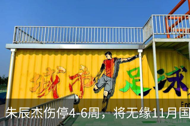朱辰杰伤停4-6周，将无缘11月国足友谊赛，但不会影响亚洲杯