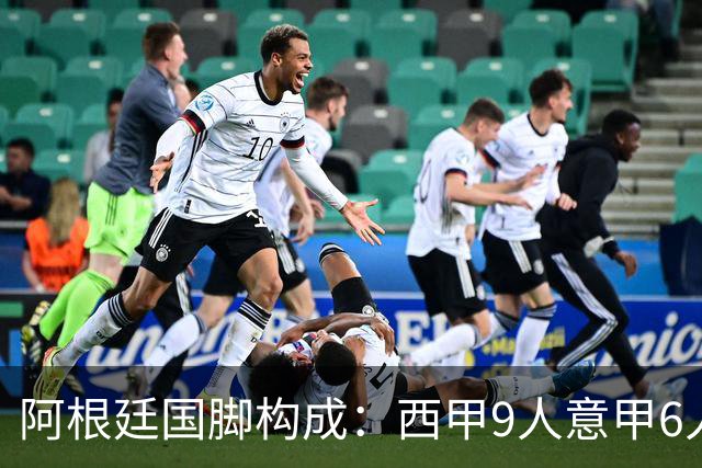 阿根廷国脚构成：西甲9人意甲6人 阿本土仅1人