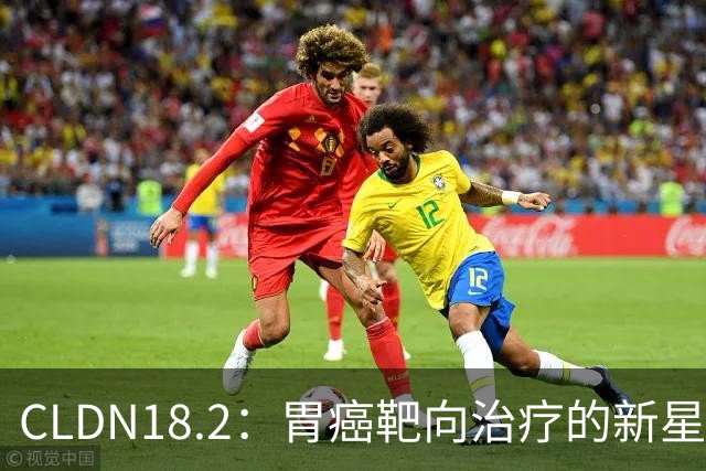 CLDN18.2：胃癌靶向治疗的新星——从生物学基础到临床转化