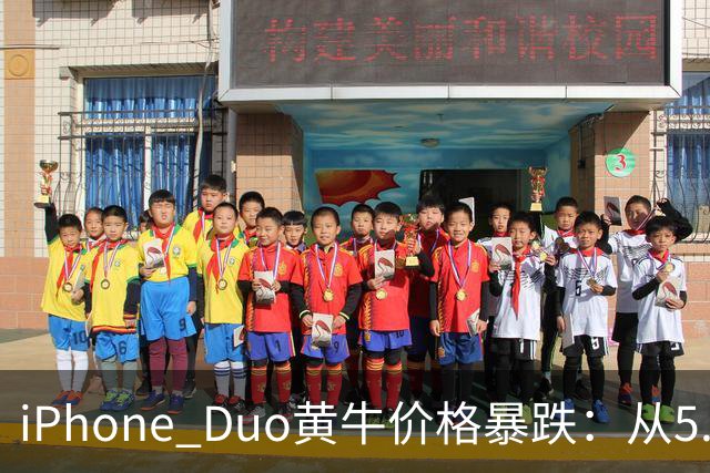 iPhone Duo黄牛价格暴跌：从5.8万跌至3000元
