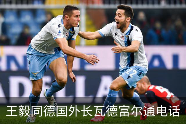 王毅同德国外长瓦德富尔通电话