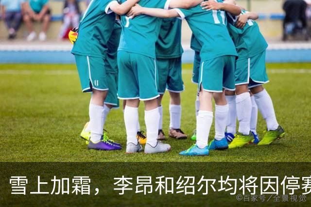 雪上加霜，李昂和绍尔均将因停赛无缘出战与铁人的6分之战