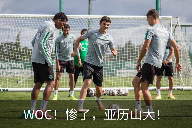 WOC！惨了，亚历山大！